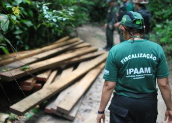 Cadastro ambiental passa a ser obrigatório no Amazonas com novas regras do Ipaam