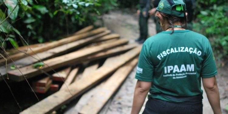 Cadastro ambiental passa a ser obrigatório no Amazonas com novas regras do Ipaam