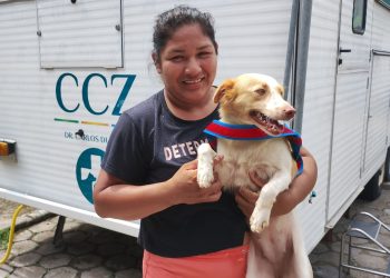 Prefeitura de Manaus abre vagas para castração gratuita de cães e gatos no CCZ