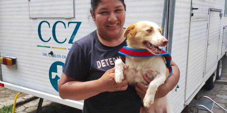 Prefeitura de Manaus abre vagas para castração gratuita de cães e gatos no CCZ