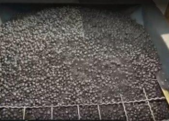 Caroço de açaí vira carvão ecológico em projeto inovador no Amapá