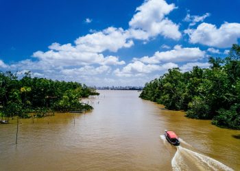 Renaturalização de rios é estratégia contra enchentes nas cidades