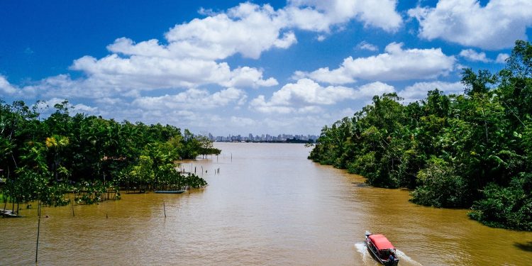 Renaturalização de rios é estratégia contra enchentes nas cidades