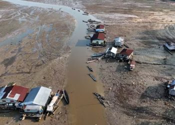 Estudos revelam secas prolongadas e risco climático crescente na Amazônia