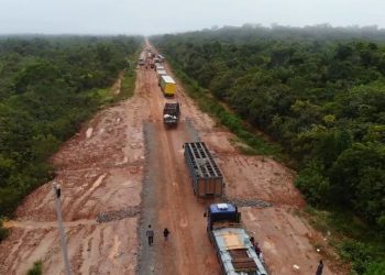 Justiça pode suspender obras da BR-319 após ação ambiental
