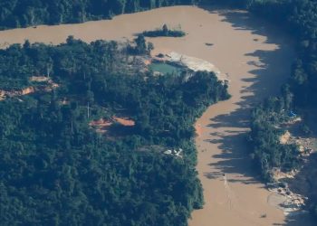 MPF denuncia mineração ilegal na Amazônia à CIDH