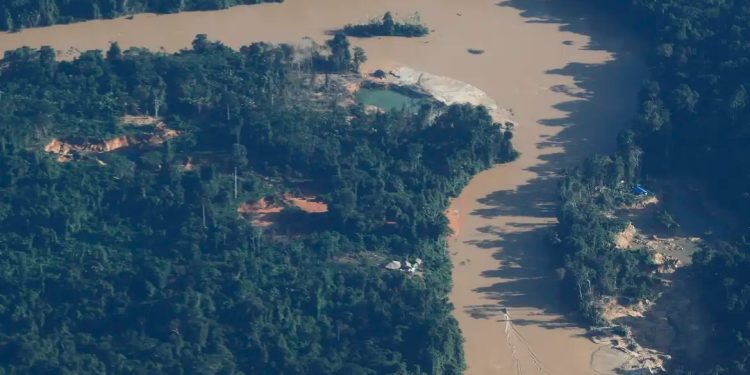 MPF denuncia mineração ilegal na Amazônia à CIDH