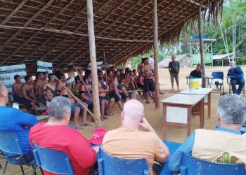 Embrapa leva tecnologias agrícolas para fortalecer segurança alimentar dos Yanomami na Amazônia