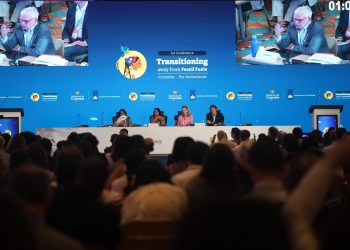 COP30: transição para combustíveis fósseis é “factível, justa e necessária”, diz Ana Toni