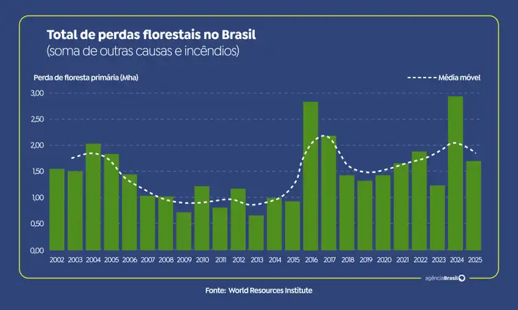 Brasil reduz perdas florestais em 42% e melhora cenário global em 2025