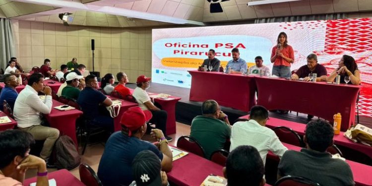 MMA realiza oficina do PSA Pirarucu em Manaus e avança no cadastramento de comunidades amazônicas