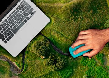 MMA e ENAP lançam curso gratuito sobre mercados de carbono