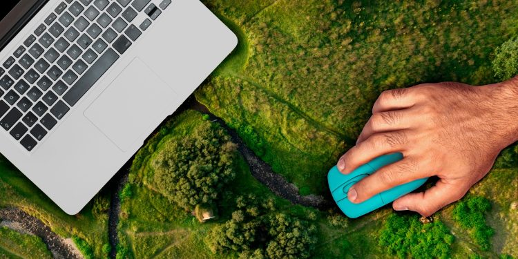 MMA e ENAP lançam curso gratuito sobre mercados de carbono
