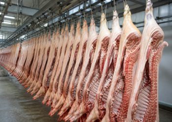 Exportações de carne suína colocam Brasil entre líderes mundiais