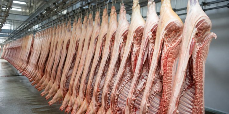 Exportações de carne suína colocam Brasil entre líderes mundiais