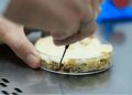 Unicamp desenvolve farinha de fungo amazônico para mercado de proteínas vegetais