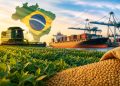Agro fortalece imagem do Brasil no mundo, aponta pesquisa Marca Brasil