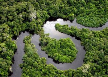 COP30 inicia ofensiva diplomática global para combater o desmatamento até 2030