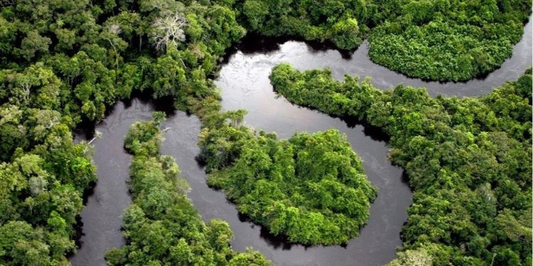 COP30 inicia ofensiva diplomática global para combater o desmatamento até 2030