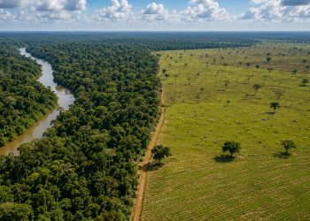 Inventário de Emissões Atmosféricas identifica pressão do uso da terra e florestas no Amazonas