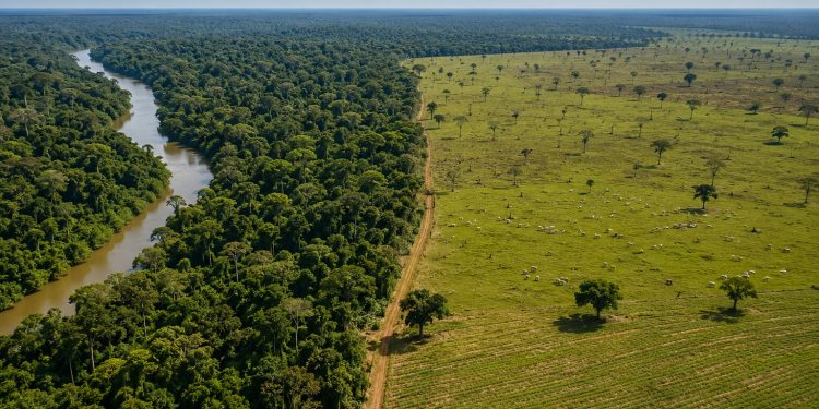 Inventário de Emissões Atmosféricas identifica pressão do uso da terra e florestas no Amazonas