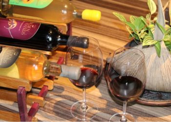 Startup do Amapá transforma frutas amazônicas em bebidas premium para exportação