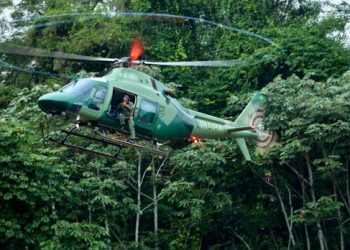Ibama intensifica combate ao garimpo ilegal na região das Árvores Gigantes da Amazônia