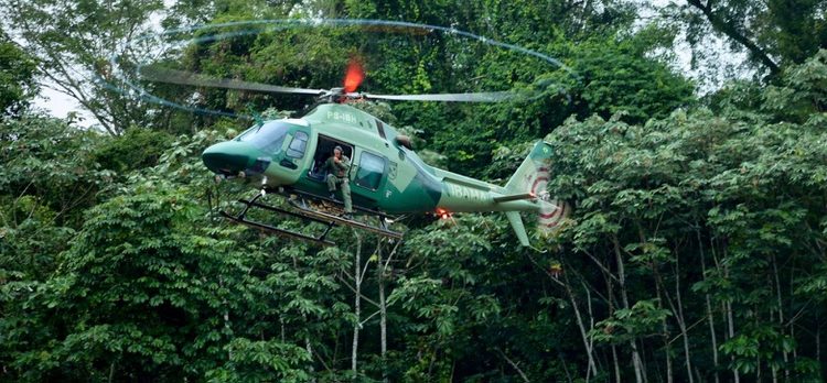 Ibama intensifica combate ao garimpo ilegal na região das Árvores Gigantes da Amazônia
