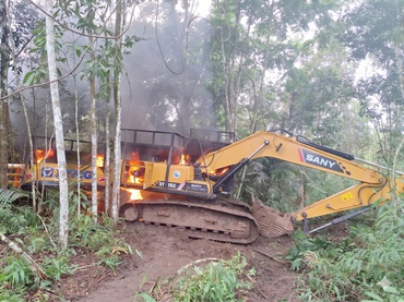 Ibama intensifica combate ao garimpo ilegal na região das Árvores Gigantes da Amazônia