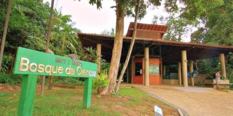 Bosque da Ciência é declarado patrimônio ambiental e científico do Amazonas