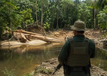 Fundo Estadual do Meio Ambiente destina mais de R$ 750 mil para fiscalização ambiental no Amazonas