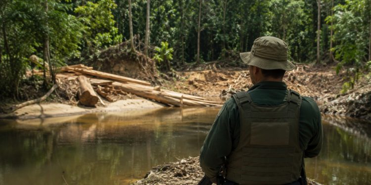 Fundo Estadual do Meio Ambiente destina mais de R$ 750 mil para fiscalização ambiental no Amazonas