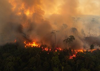 STF cobra plano urgente contra incêndios na Amazônia Legal após alerta de El Niño
