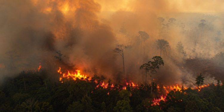 STF cobra plano urgente contra incêndios na Amazônia Legal após alerta de El Niño