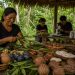 Governo anuncia R$ 150 milhões para fortalecer bioeconomia e pesquisa na Amazônia