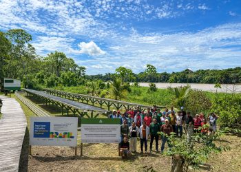 Energia solar chega a uma das regiões mais isoladas do Amazonas e beneficia mais de 200 famílias