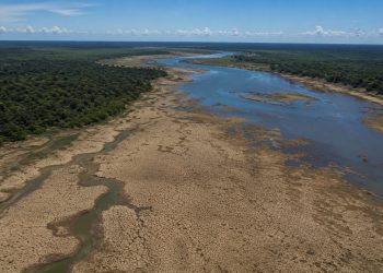 OMM alerta para secas mais severas na Amazônia até 2030