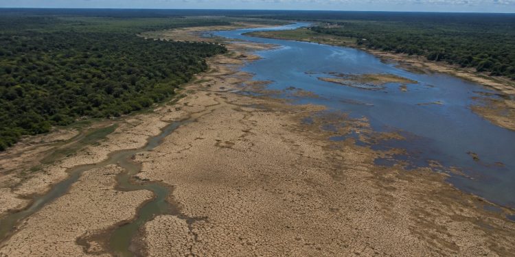 OMM alerta para secas mais severas na Amazônia até 2030