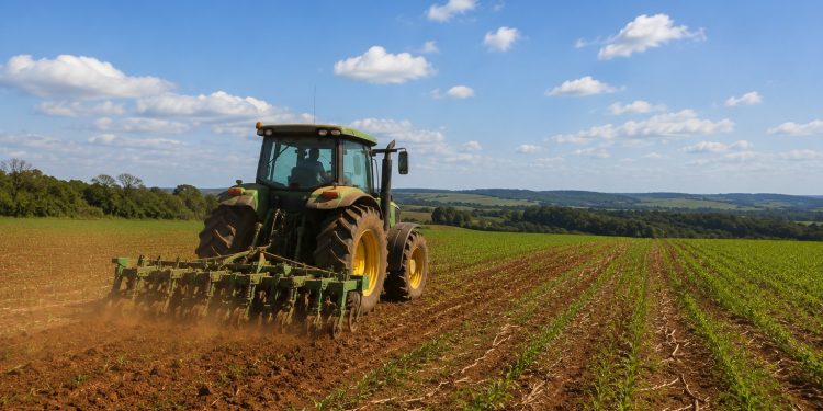 PIB do Brasil cresce 1,1% no primeiro trimestre de 2026 e agropecuária lidera avanço da economia