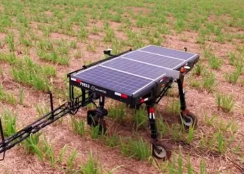 Robô solar transforma monitoramento no agronegócio