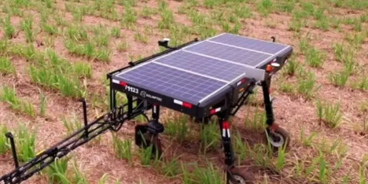 Robô solar transforma monitoramento no agronegócio