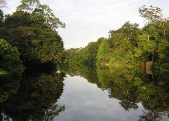 Comitê de Compensação Ambiental Federal alcança R$3,9 bilhões destinados a unidades de conservação