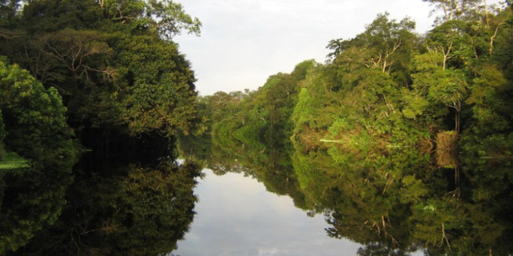 Comitê de Compensação Ambiental Federal alcança R$3,9 bilhões destinados a unidades de conservação