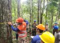 Idam fortalece extrativismo da castanha com capacitação e regularização de produtores em reserva de Tefé