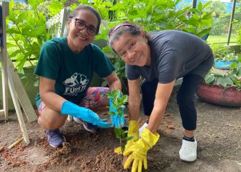 Dia Mundial do Meio Ambiente: FUnATI destaca relação entre natureza, saúde e longevidade