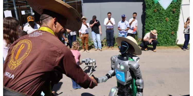 Rondônia aprova Lei Estadual de Inovação e cria novo marco legal para impulsionar tecnologia e startups