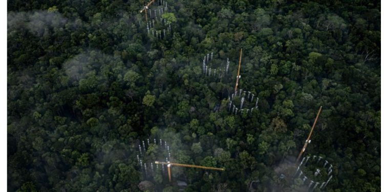 AmazonFace vai estudar como a Amazônia reage a ambiente rico em dióxido de carbono