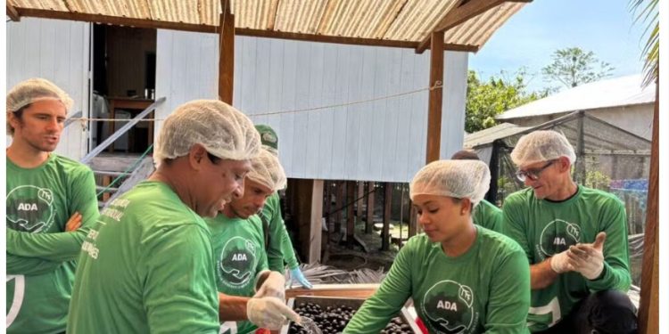 Projeto no Acre transforma frutas amazônicas em fonte de renda para famílias indígenas e ribeirinhas