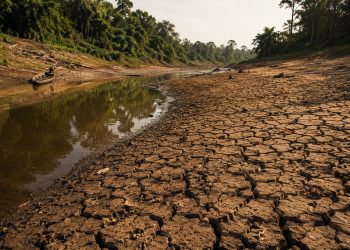 Países amazônicos reforçam cooperação para proteger a floresta diante de novo El Niño