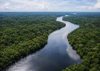 Edital vai investir R$ 4 milhões em projetos de adaptação climática no Brasil